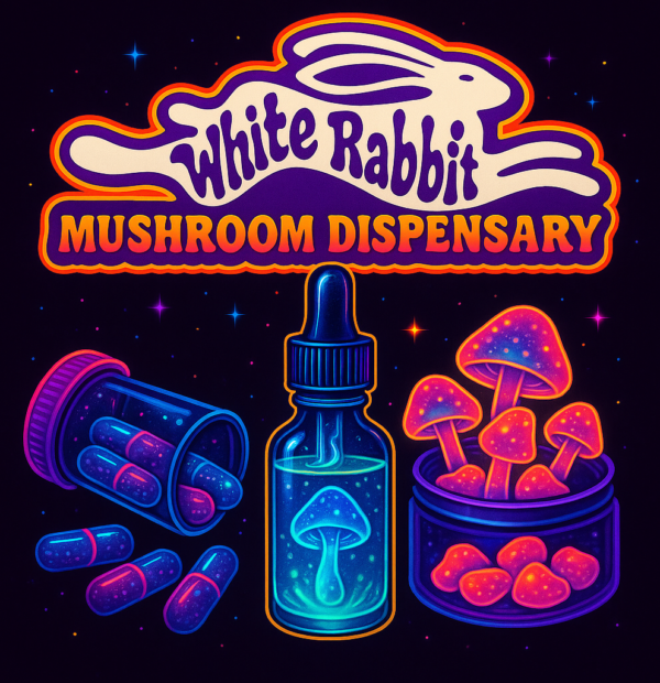 ChatGPT Image Dec 12, 2025, 10_57_31 AM