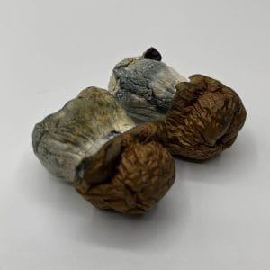 Bluey Vuitton Mushrooms