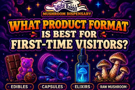 what-product-ist-best-magic-mushroom-white-rabbit.jpg
