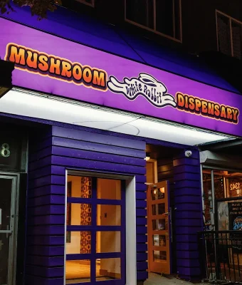 white-rabbit-dispensary