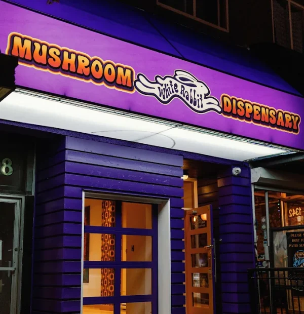 white-rabbit-dispensary